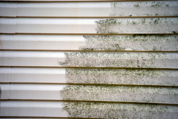 Best Custom Trim and Detailing for Siding  in North Conway, NH